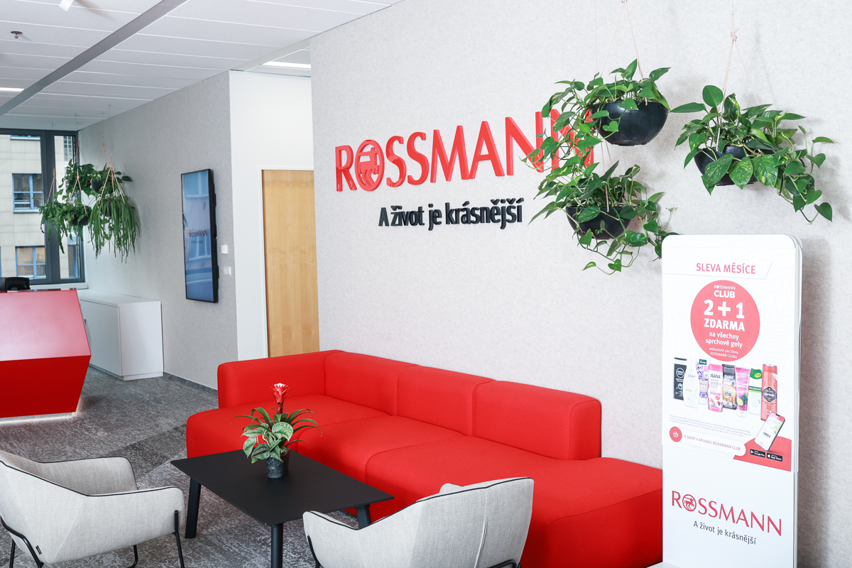 Kanceláře Rossmann po komplexní rekonstrukci