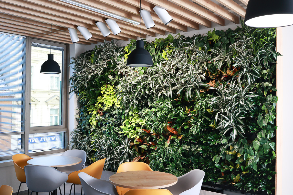 Inovativní zelený design v kancelářích AIS Servis