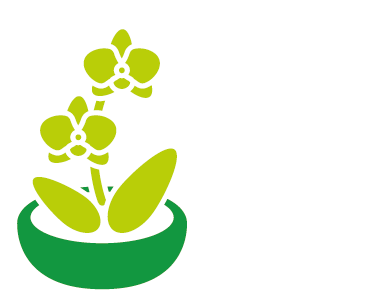 Aranžmá, floristika, dekorace