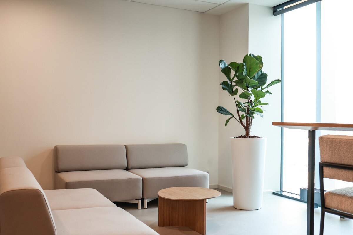 Shoptet kanceláře - Shoptet kanceláře