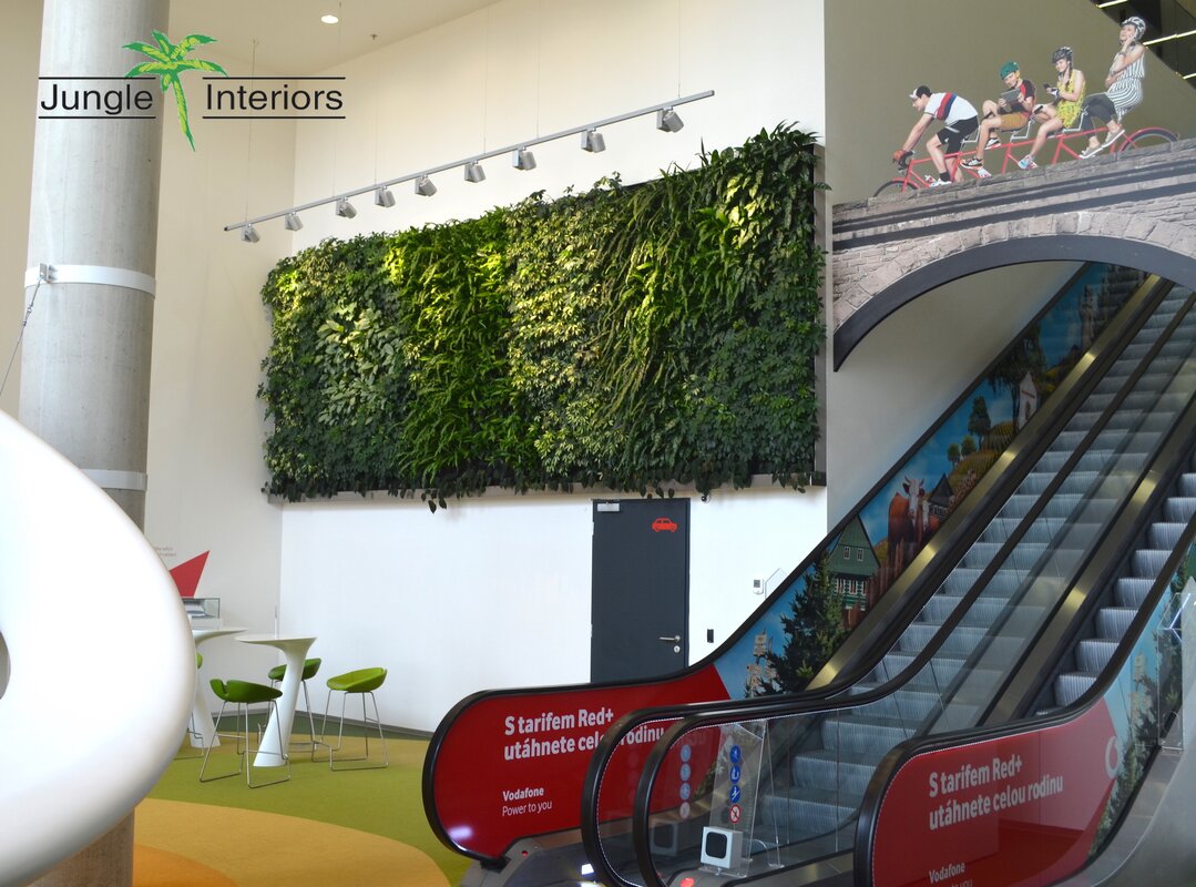 Green wall at Vodafone company - Vodafone green wall, beauty and effect of many plants