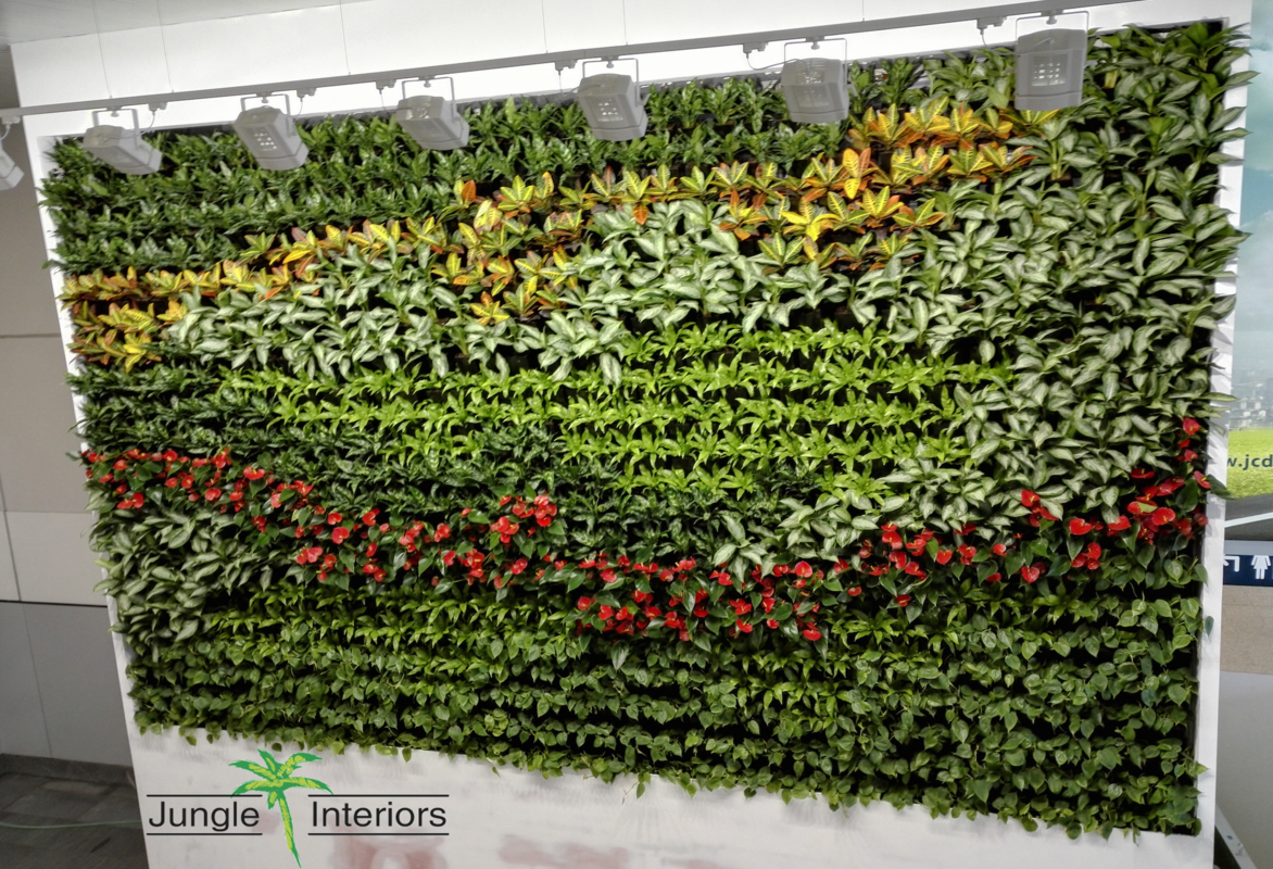Rostliny v zelené stěně tvoří barevné obrazce - Rostliny v zelené stěně tvoří barevné obrazce