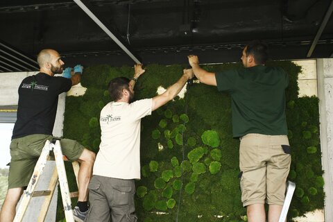 We introduce moss walls