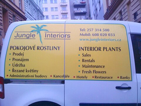 Jungle Interiors is established 