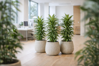 Květináče Sabi - když architektura přijme nedokonalost jako kvalitu