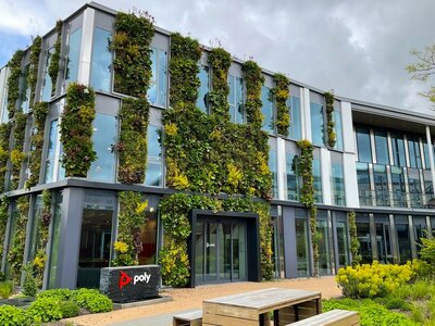 A step towards sustainability and urban beauty – why green facades?