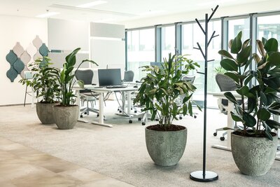 První nájemci v novém projektu Port 7 v Holešovicích, to je společnost Manta Tools