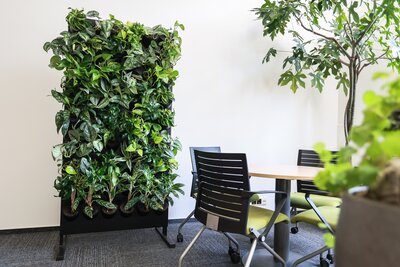 Greenery that will brighten up any event, a living green wall for rent for events