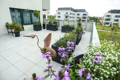 Zelená terasa, jako atraktivní prvek nového bytu projektu Višňovka v Horoměřicích