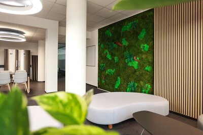 Reviving renovated offices with green moss