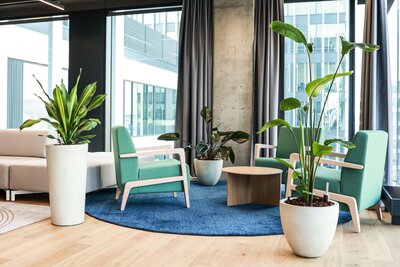 Modern Shoptet offices where nature and technology go hand in hand