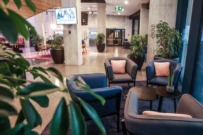 Success in the large tender for interior greenery for the “Stages Hotel”