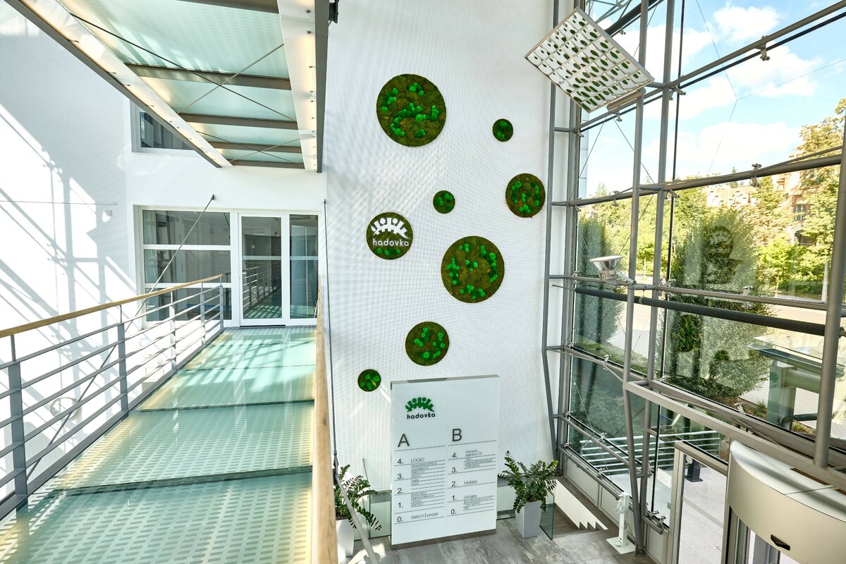 Zeleň v podobě originálních mechových kruhů pro Hadovka Park