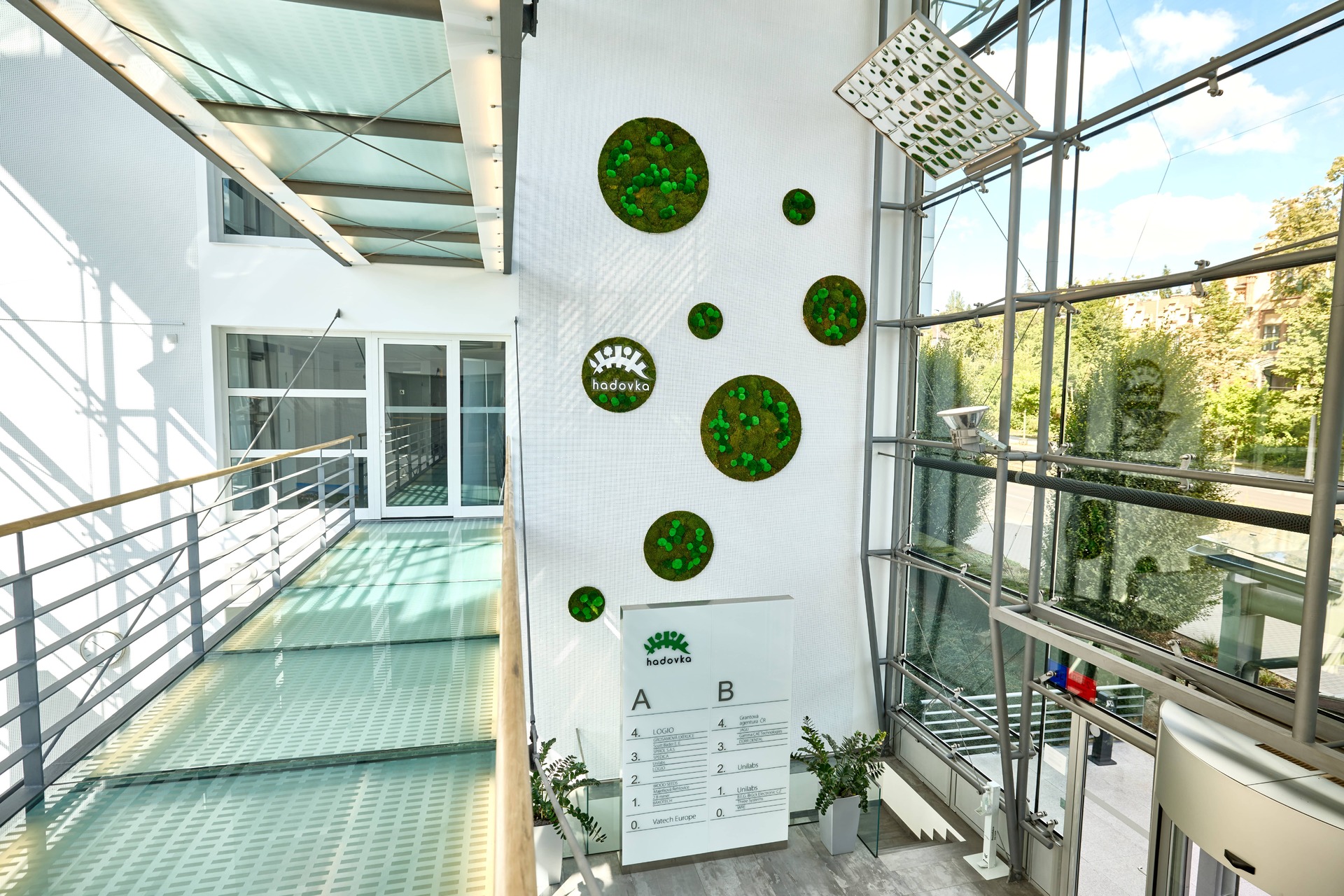 Greenery in the form of original moss circles for Hadovka Park