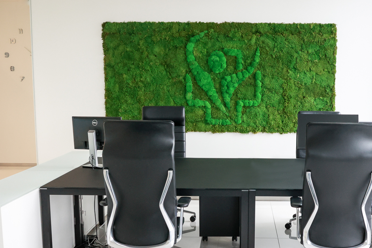 Moss picture in MEDDI Hub offices
