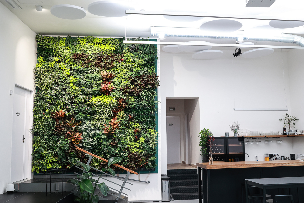 Multifunkční prostor s famózní zelenou stěnou