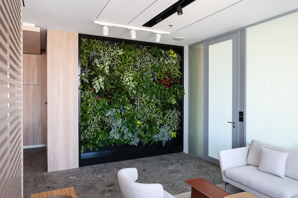 Beauty, health, and efficiency in the Sekyra Group offices at Rohan City