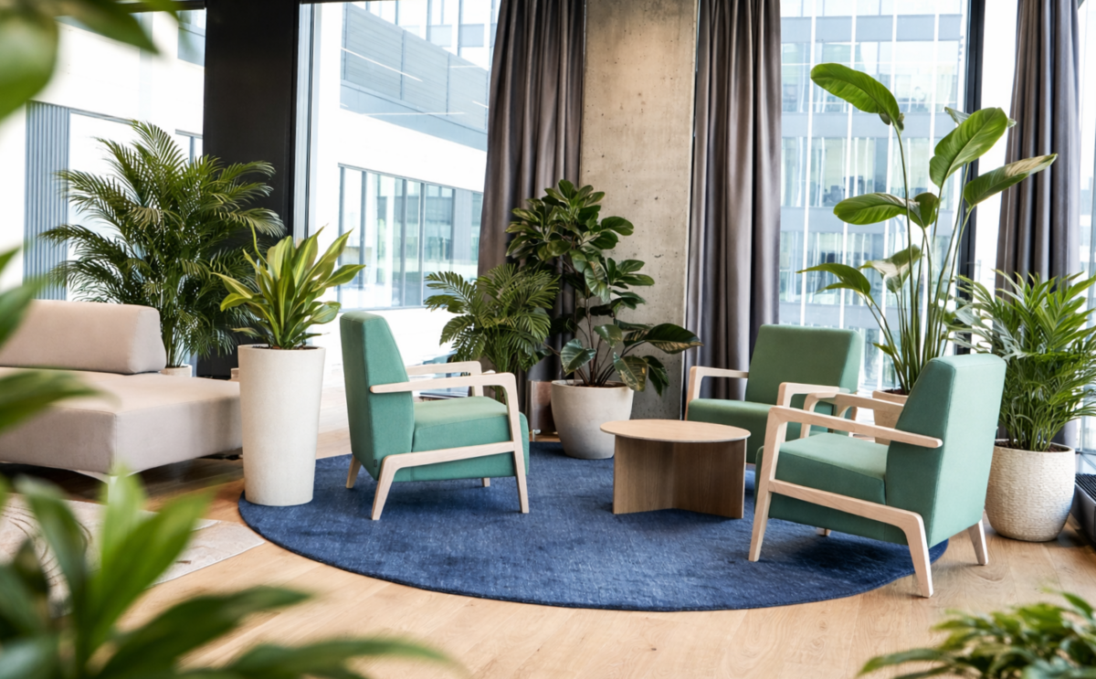 Zelené stěny, nebo solitérní rostliny nejsou jen pouhá dekorace. Jsou to aktiva.