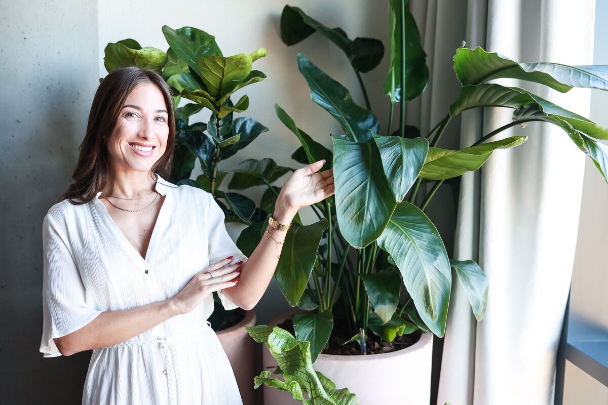 EP Real Estate combines functionality, aesthetics, and greenery in the new modern Hagibor headquarters