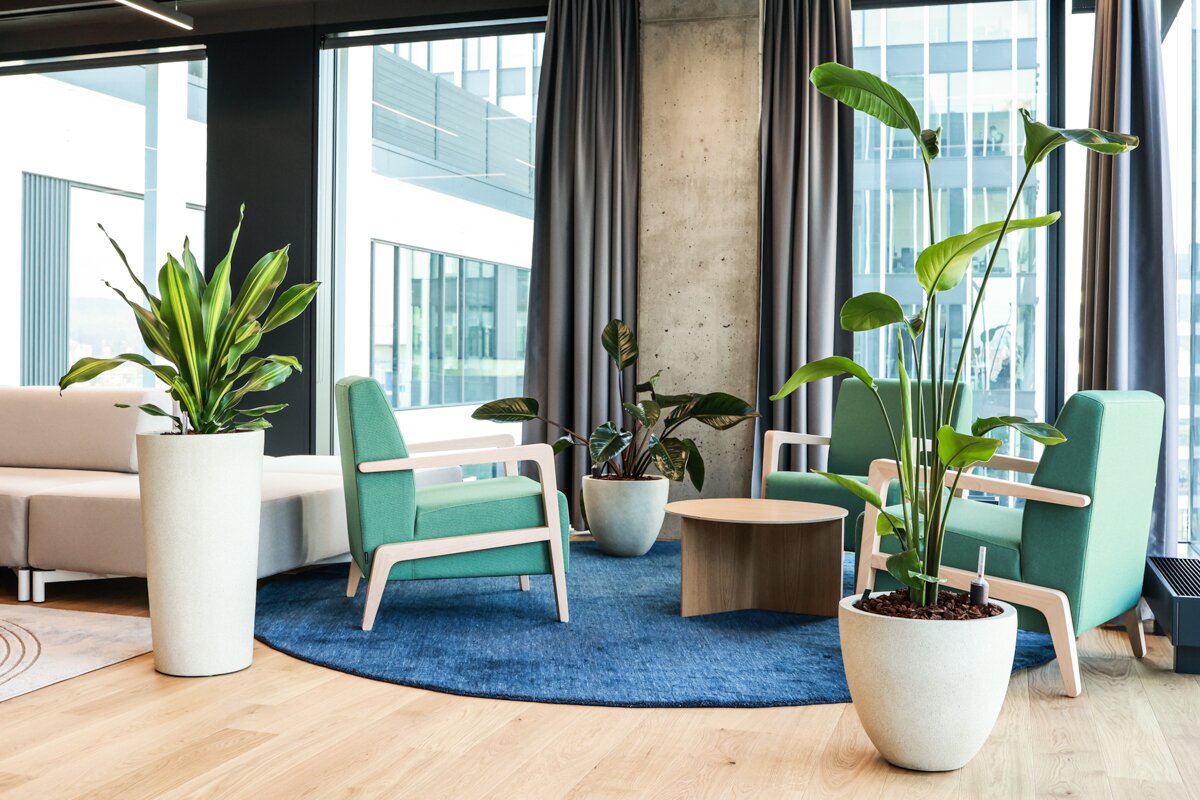 Moderní kanceláře Shoptet, kde příroda a technologie jdou ruku v ruce 