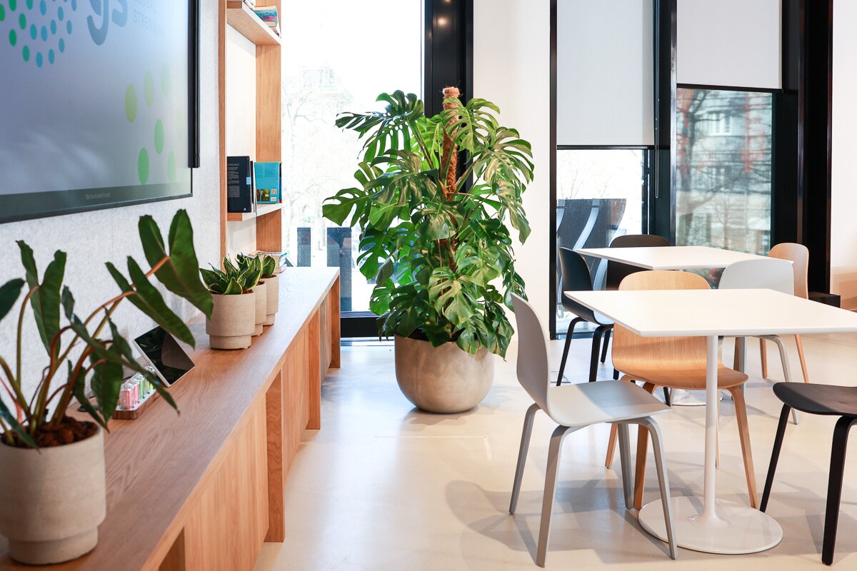 Kanceláře Sky Czech Republic jako živoucí oáza klidu, barevného a minimalistického designu