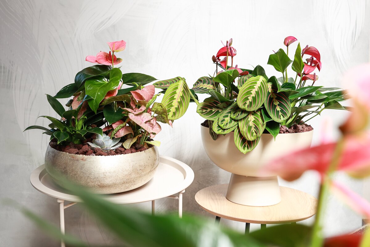 Květinové aranžmá, která vítají s elegancí